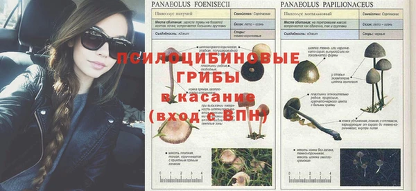дурь Липки