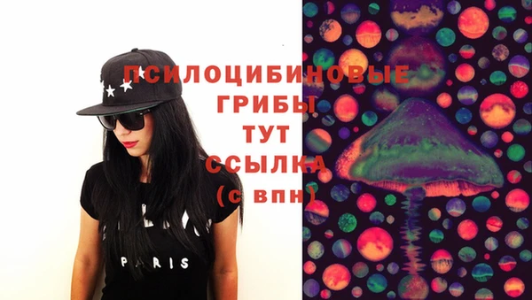 дурь Липки